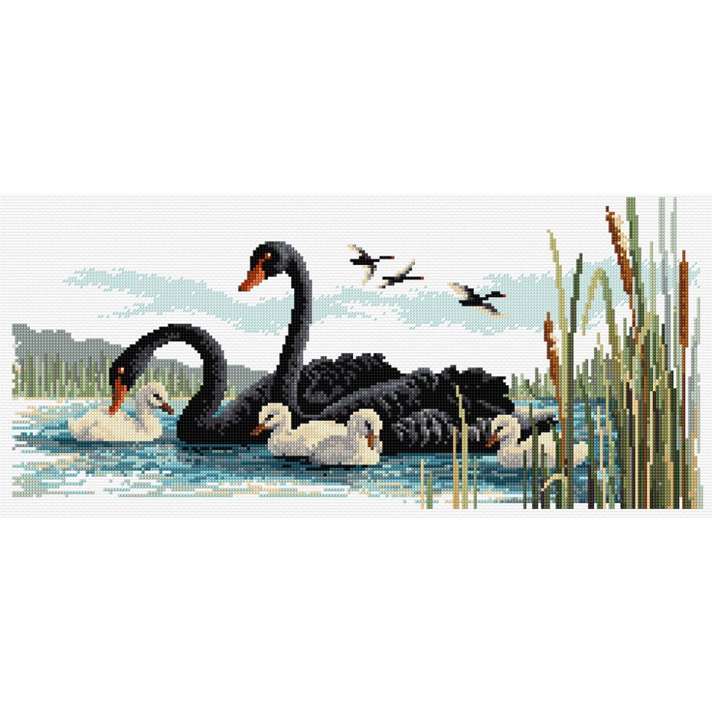 (image for) Black Swans